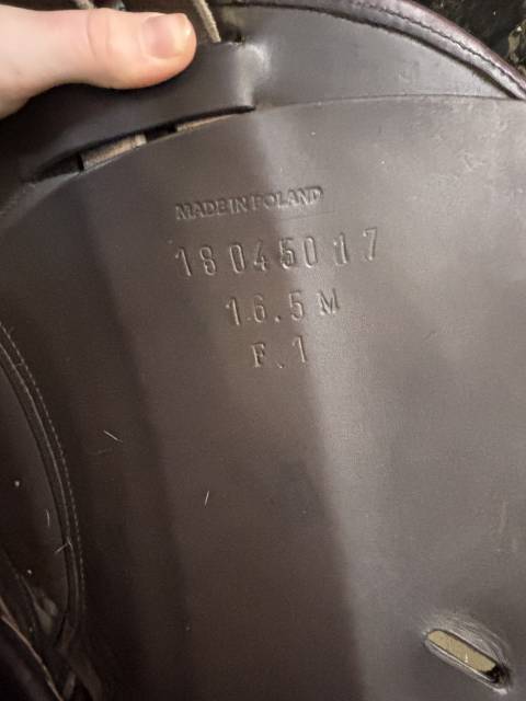 Sella da salto ostacoli Time Rider  16.5" - 2019