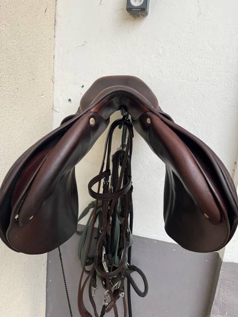 Sella mista Antarès  17.5" - 2019