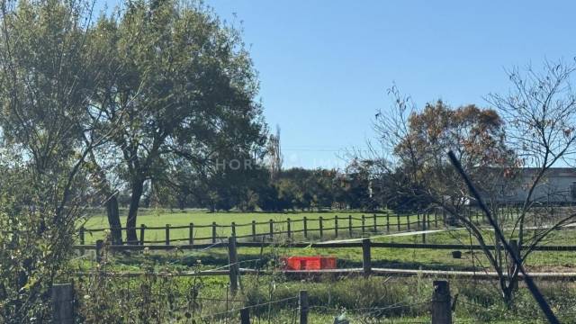 Proprietà equestre In vendita Gard