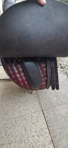 Sella amazzone   17.5" - 2005