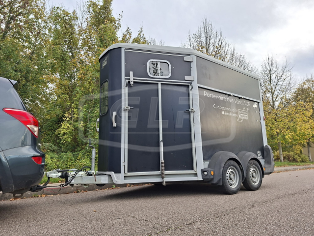 Trailer Ifor Williams HB 511 OBLIQUE PP 2 Cavalli 2017 Occasione