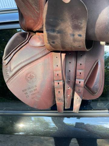 Sella da salto ostacoli CWD  17" - 2023