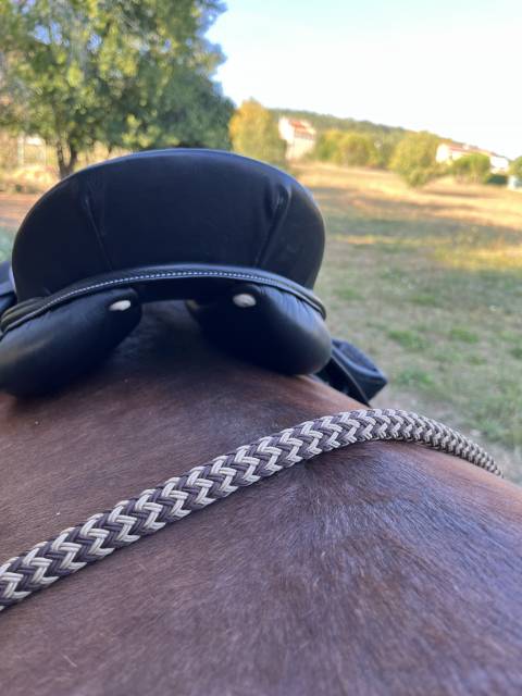 Sella mista  Cavalhorse  17" - 2018