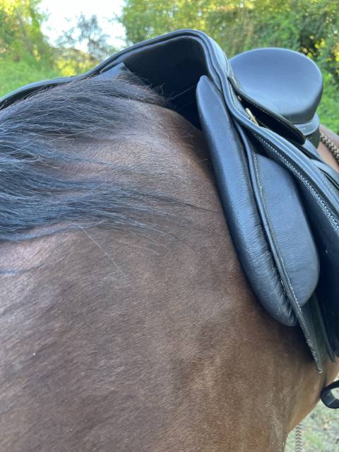 Sella mista  Cavalhorse  17" - 2018