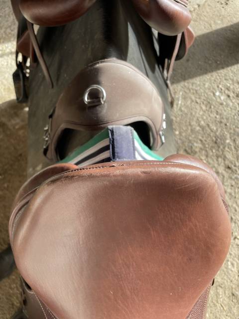 Sella mista Time Rider  15" - 2018