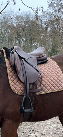 Sella mista Time Rider  15" - 2018