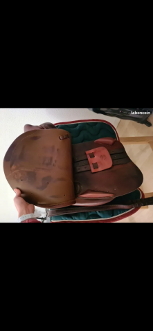 Sella mista Belloir  17.5" - 2019