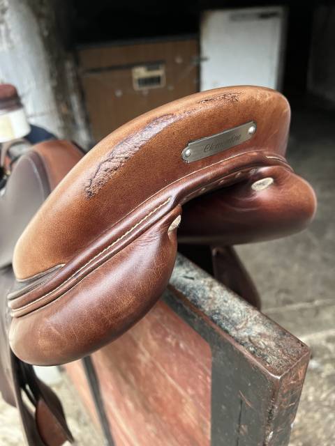 Sella da salto ostacoli Antarès  17" - 2018