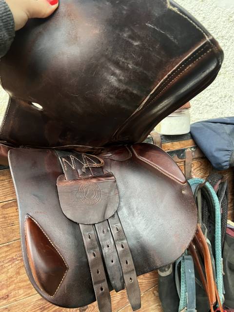 Sella da salto ostacoli Antarès  17" - 2018