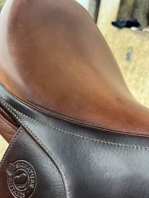 Sella da salto ostacoli Antarès  17" - 2018