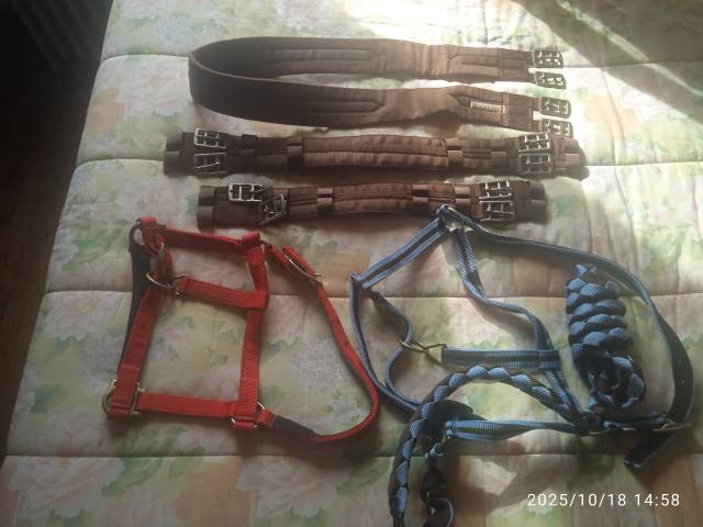 Sella mista Forestier  17" - 2000