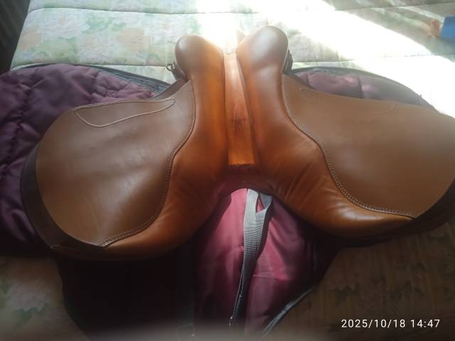 Sella mista Forestier  17" - 2000