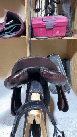 Sella da salto ostacoli Antarès  17" - 2017