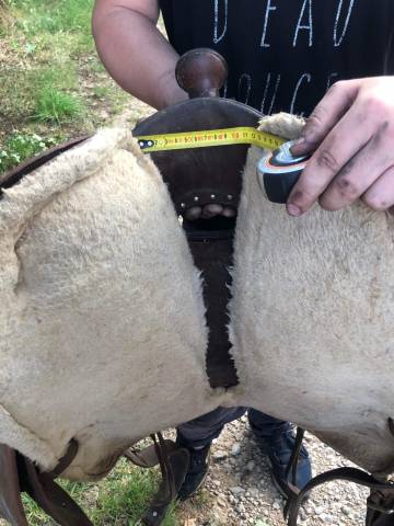 Sella western   16" - 2022