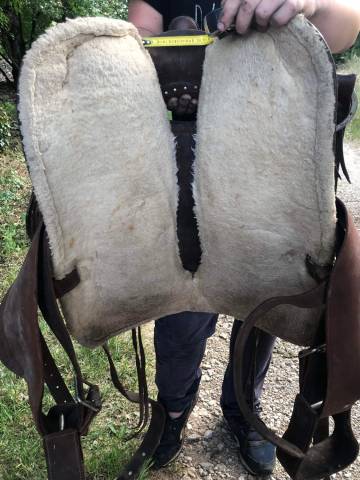 Sella western   16" - 2022