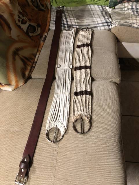 Sella western   16" - 2022