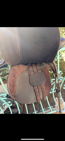 Sella mista Bates  17.5" - 2021