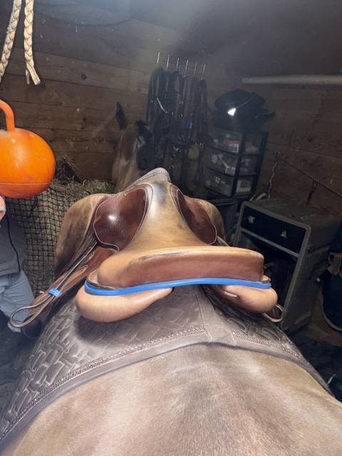 Sella mista GBS  18" - 2020