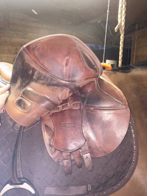 Sella mista GBS  18" - 2020