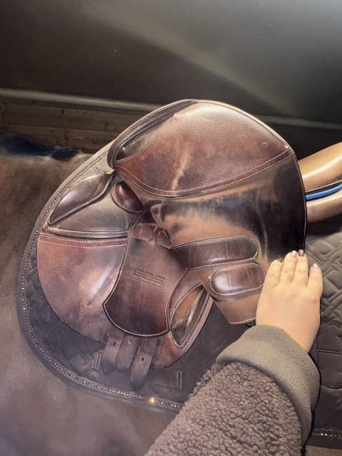 Sella mista GBS  18" - 2020