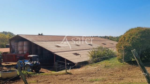Azienda agricola In vendita Gers
