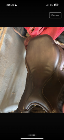 Sella mista CWD  17.5" - 2017