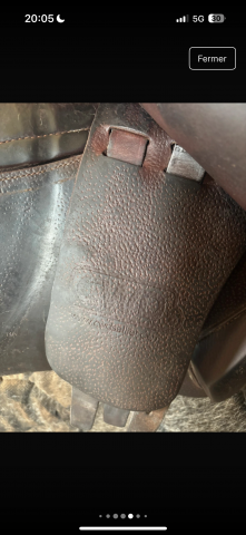 Sella mista CWD  17.5" - 2017