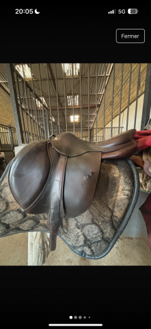 Sella mista CWD  17.5" - 2017