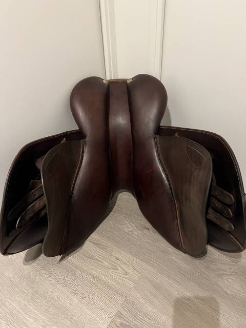 Sella mista GBS  18" - 2023