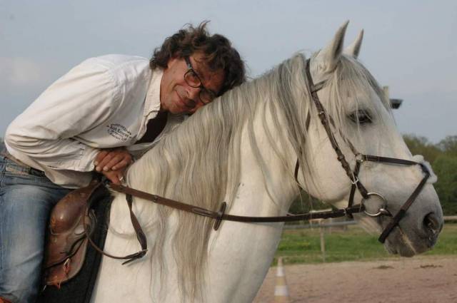 Castrone PRE Andaluso In vendita 2008 Grigio