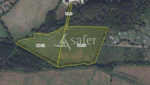 Azienda forestale In vendita Cher