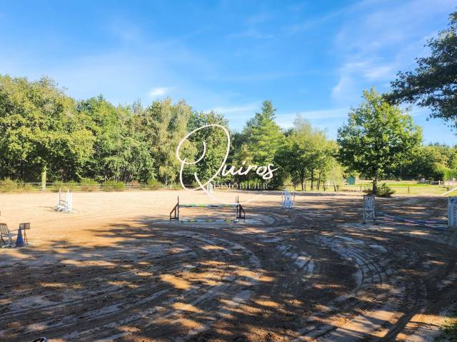 Proprietà equestre In vendita Loir-et-Cher