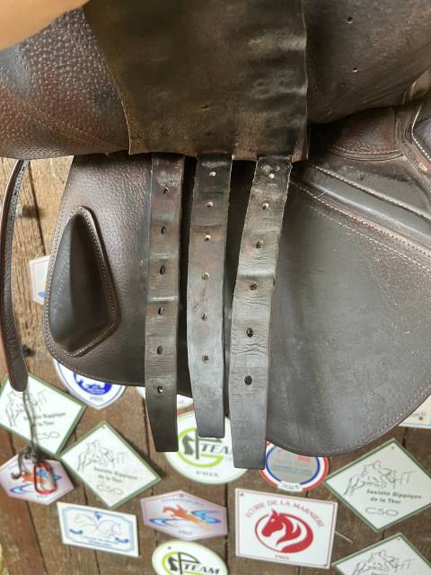 Sella da salto ostacoli CWD  17.5" - 2019