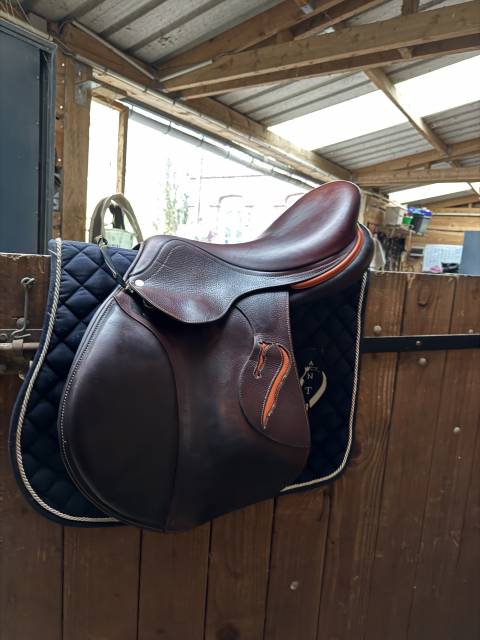 Sella da salto ostacoli Antarès  17.5" - 2021