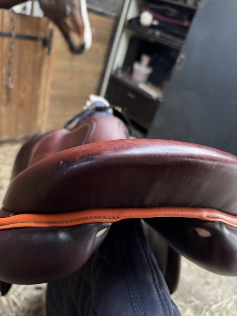 Sella da salto ostacoli Antarès  17.5" - 2021