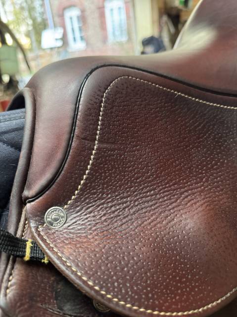 Sella da salto ostacoli Antarès  17.5" - 2021