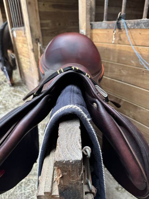 Sella da salto ostacoli Antarès  17.5" - 2021