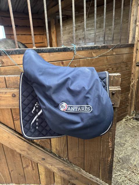 Sella da salto ostacoli Antarès  17.5" - 2021
