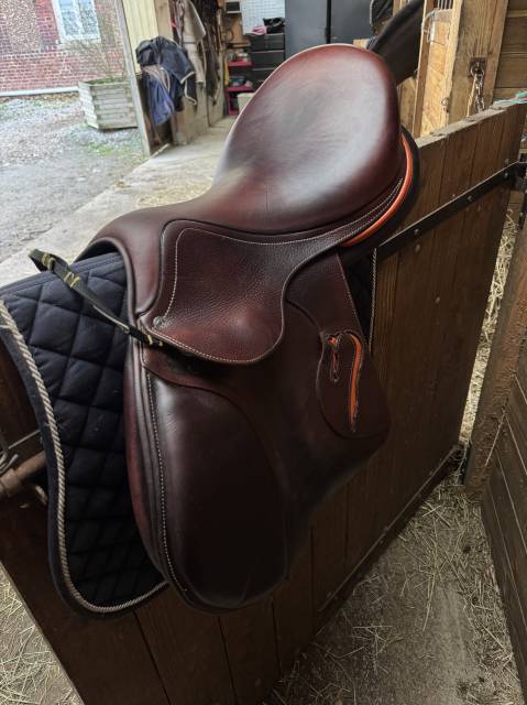 Sella da salto ostacoli Antarès  17.5" - 2021