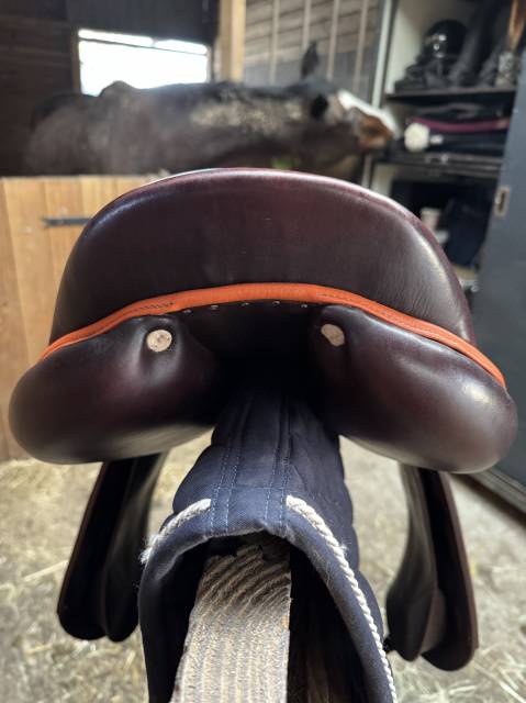 Sella da salto ostacoli Antarès  17.5" - 2021