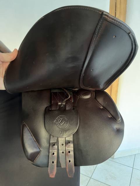 Sella mista Antarès  17.5" - 2021