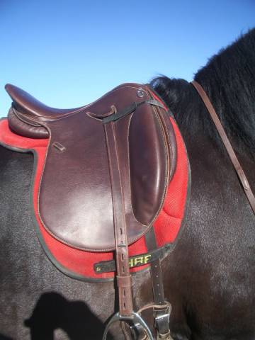 Sella da dressage   17" - 2015