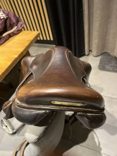 Sella da salto ostacoli Rebelle  16.5" - 2020