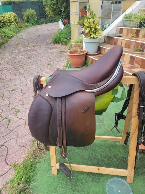 Sella da salto ostacoli  Cso 17.5" - 2022