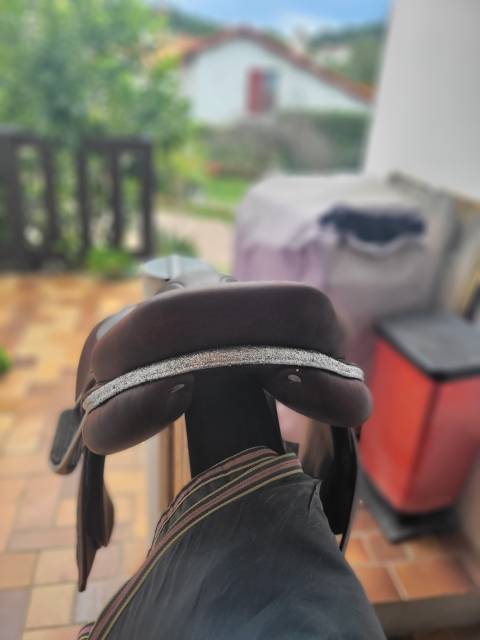 Sella da salto ostacoli  Cso 17.5" - 2022