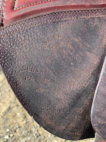 Sella da salto ostacoli CWD  17" - 2020