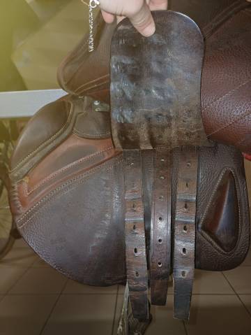 Sella da salto ostacoli CWD  17" - 2020