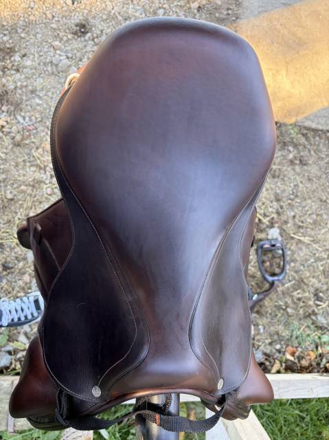 Sella da cross Antarès  16.5" - 2016