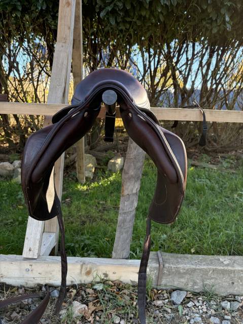 Sella da cross Antarès  16.5" - 2016