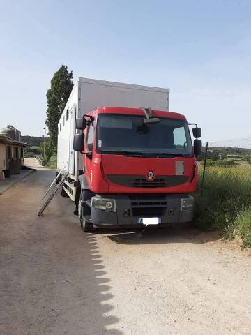Camion per Cavalli Renault Premium  2010 Occasione